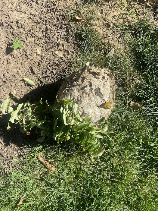Eagle Pest Management, Inc. Picture 10