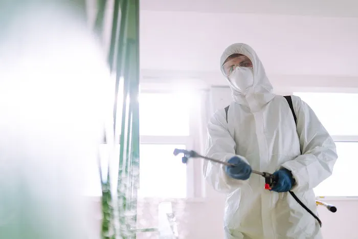Source Pest Control | Mice, Termites & Ants Picture 2