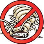 Aardvark Exterminating