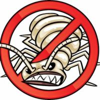 Aardvark Exterminating ico