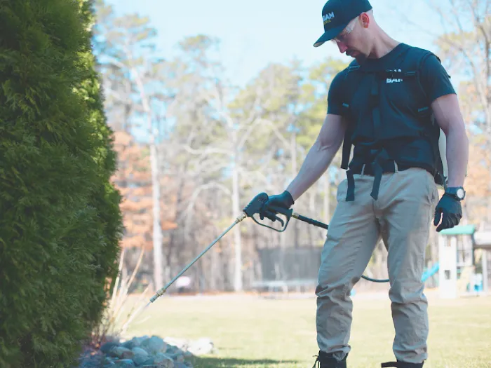 BAMBAM Pest Control Picture 3