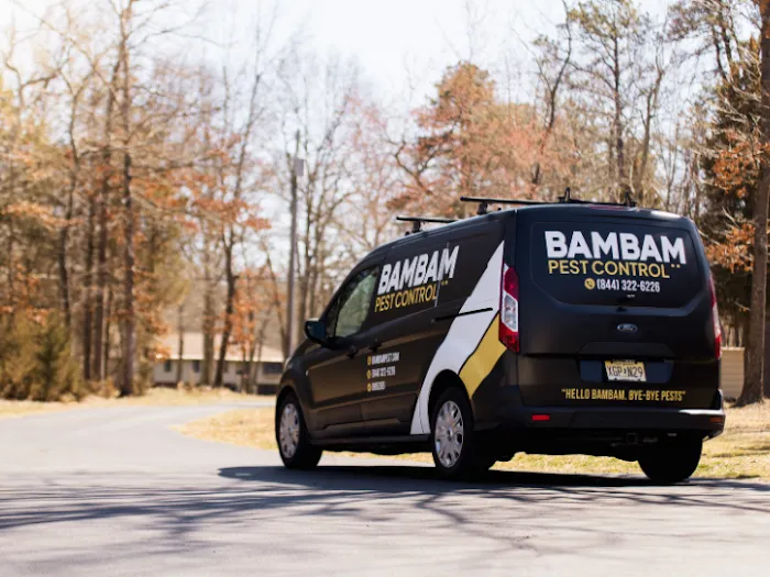 BAMBAM Pest Control Picture 4