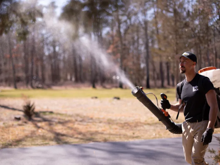 BAMBAM Pest Control Picture 5