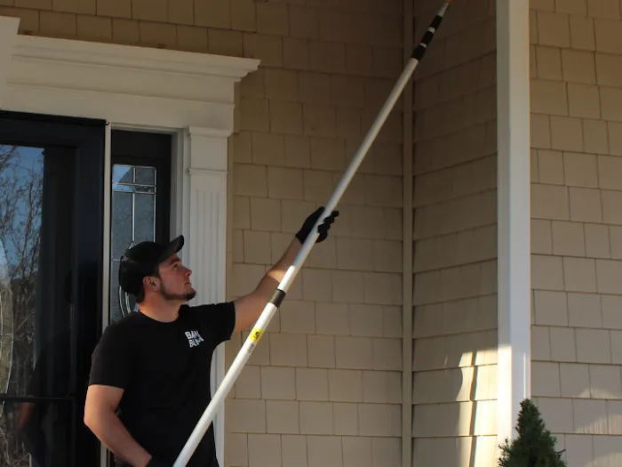 BAMBAM Pest Control Picture 7