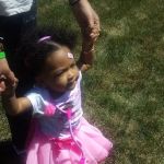 Premium Pest Control