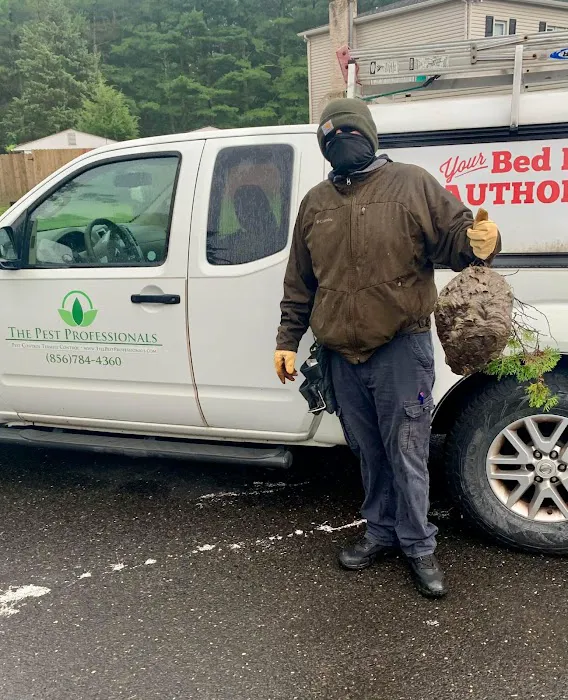 The Pest Professionals Picture 6