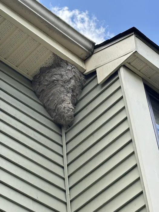 The Pest Professionals Picture 5