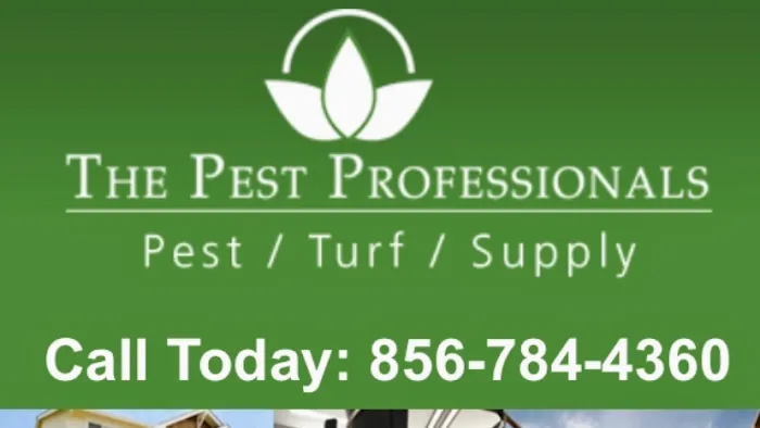The Pest Professionals Picture 2