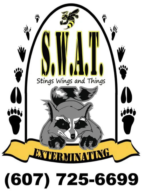S.W.A.T. Stings Wings And Things LLC Picture 5
