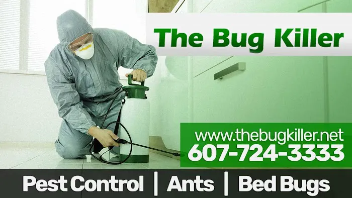 The Bug Killer Picture 3