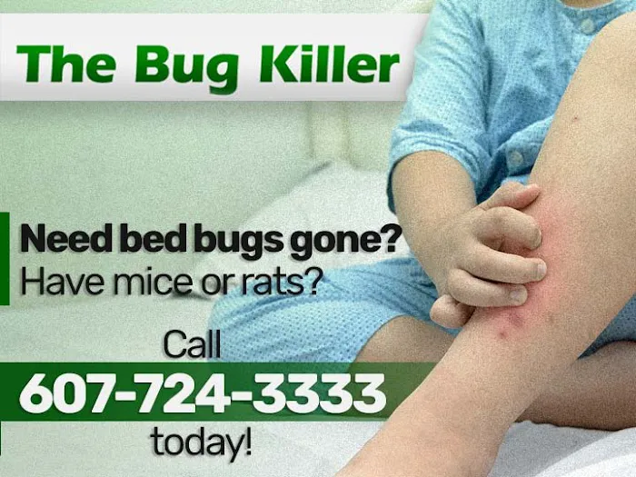 The Bug Killer Picture 4