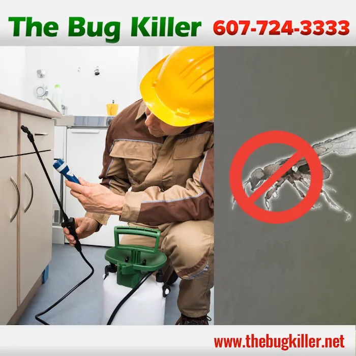 The Bug Killer Picture 5