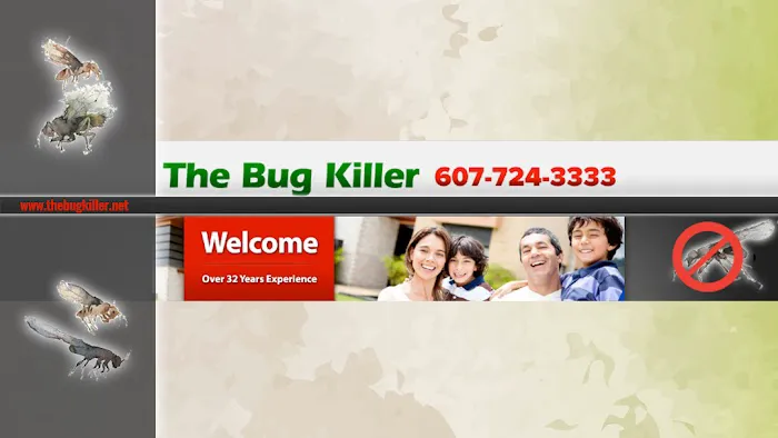 The Bug Killer Picture 1