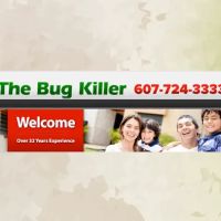The Bug Killer ico