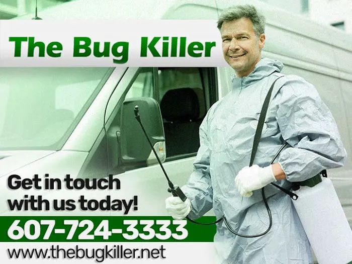 The Bug Killer Picture 2