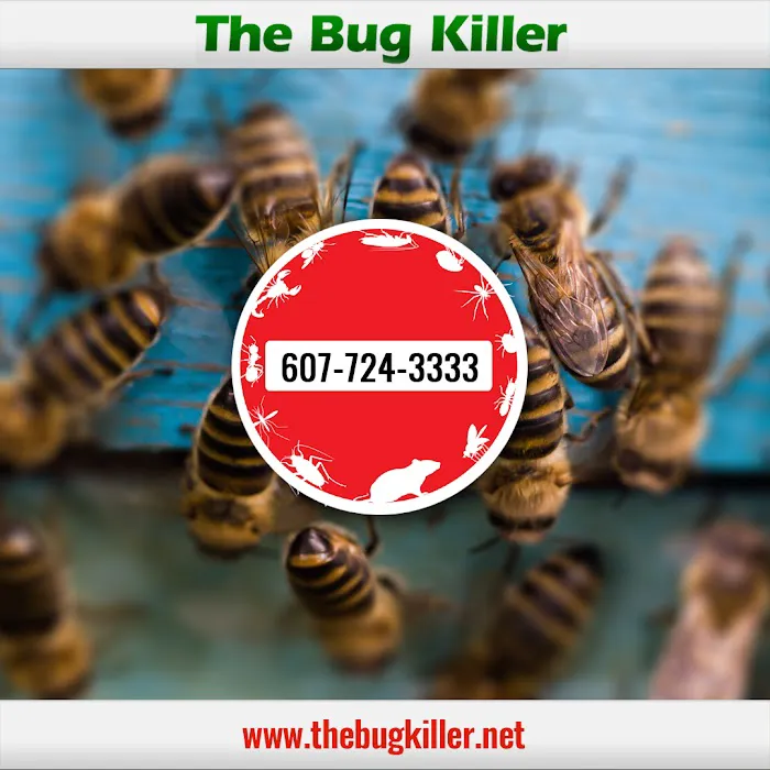 The Bug Killer Picture 10