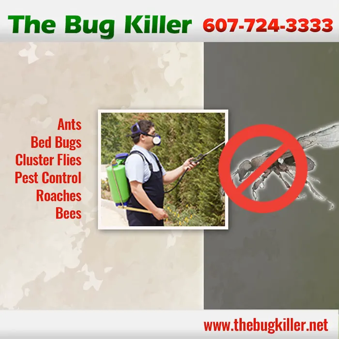 The Bug Killer Picture 8