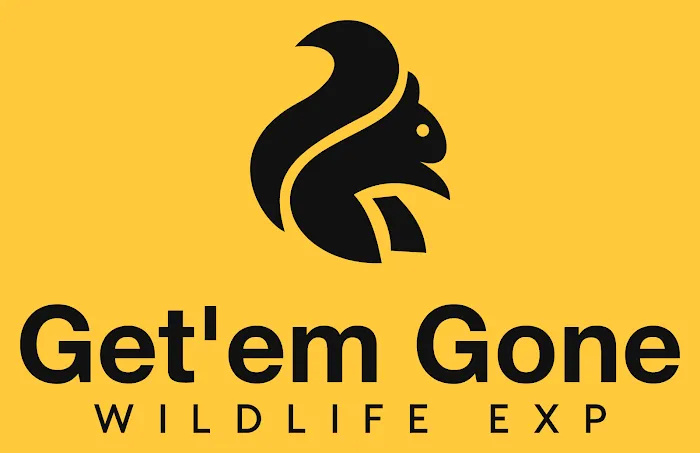 Get'em Gone Wildlife Removal LLC Picture 4