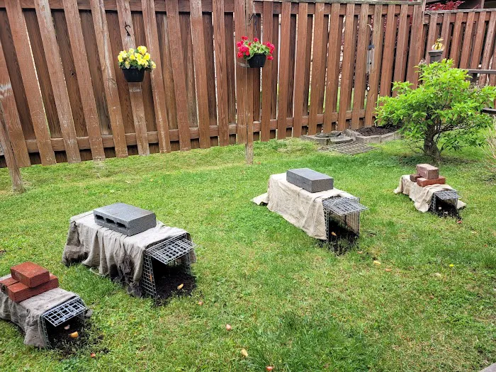 Get'em Gone Wildlife Removal LLC Picture 2