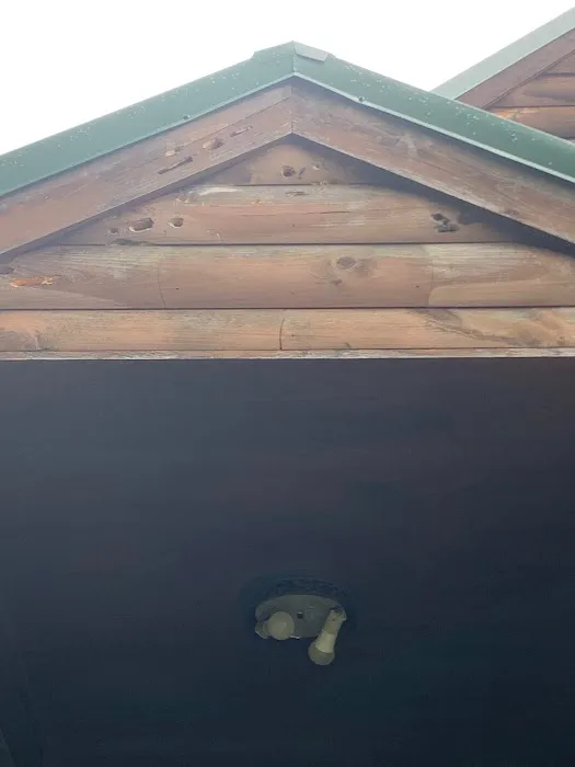 Jellison Pest Control Picture 3