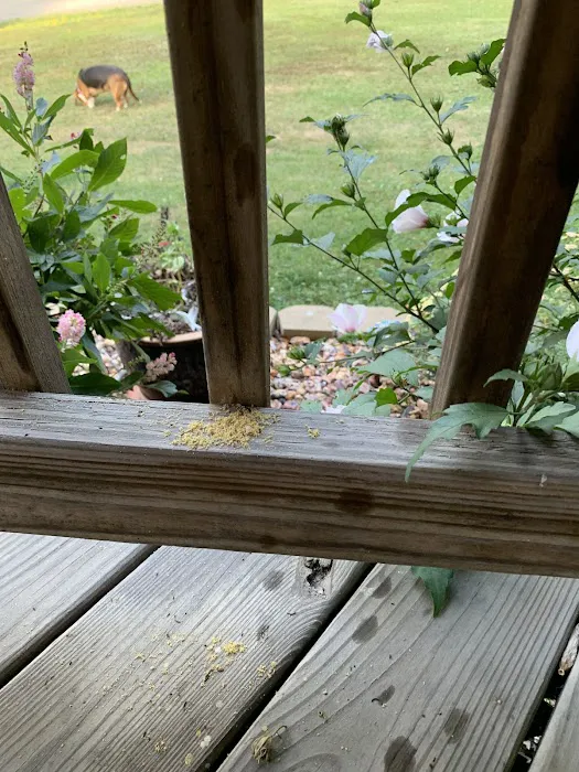 Jellison Pest Control Picture 5