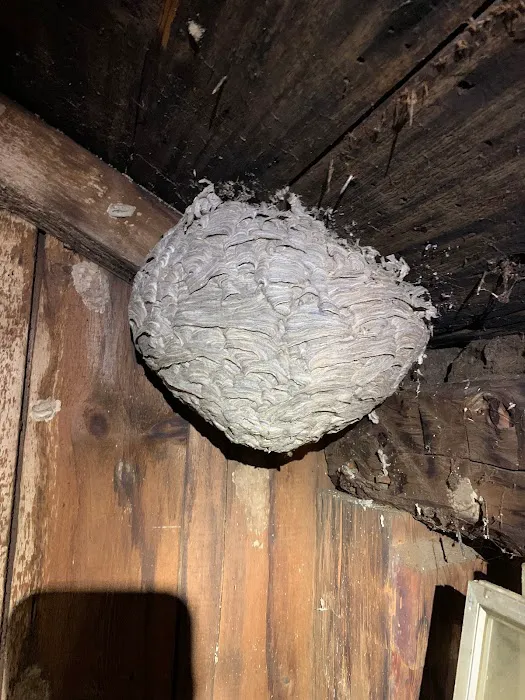 Jellison Pest Control Picture 9