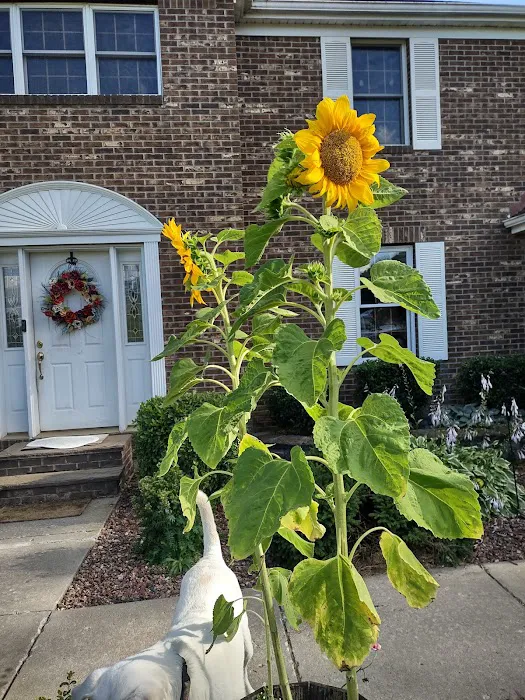 Sylvander Pest Control, LLC Picture 5