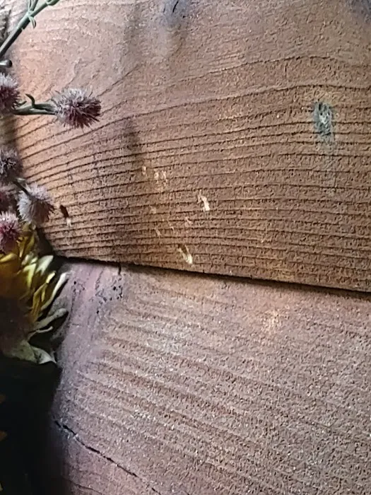 Sylvander Pest Control, LLC Picture 9