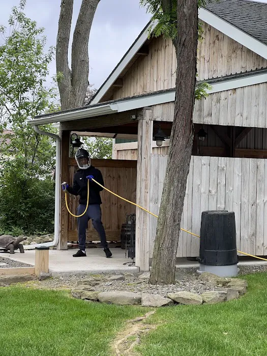 Sweeney's Pest Elimination Picture 3