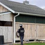 Sweeney's Pest Elimination