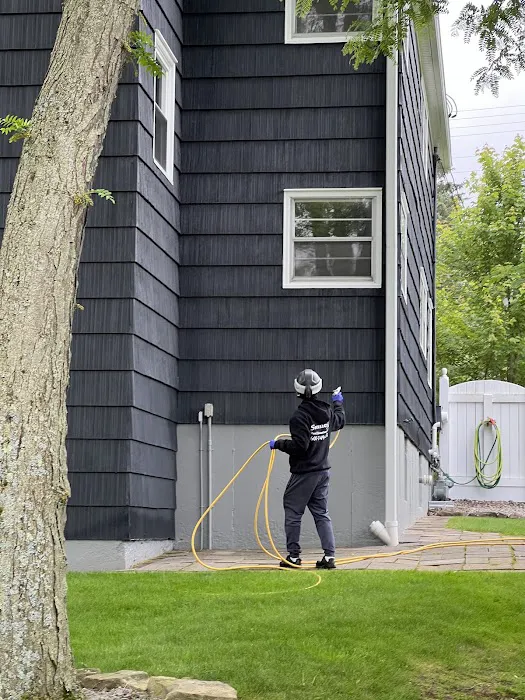 Sweeney's Pest Elimination Picture 6
