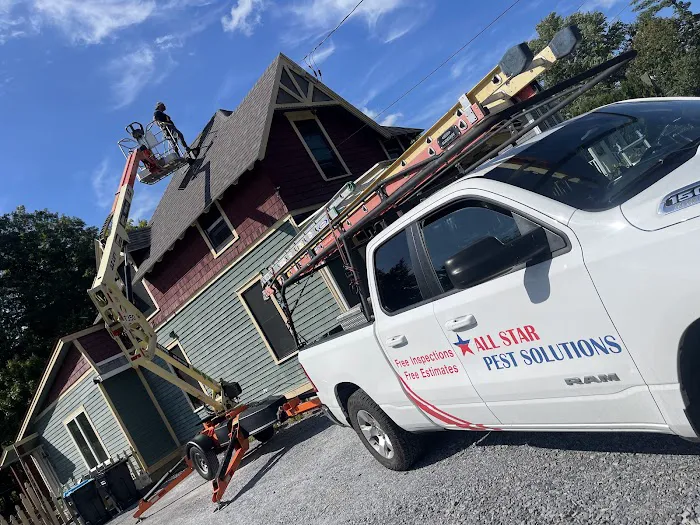 All Star Pest Solutions Picture 9