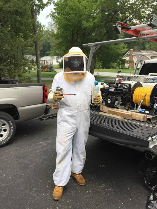 All Star Pest Solutions Picture 6