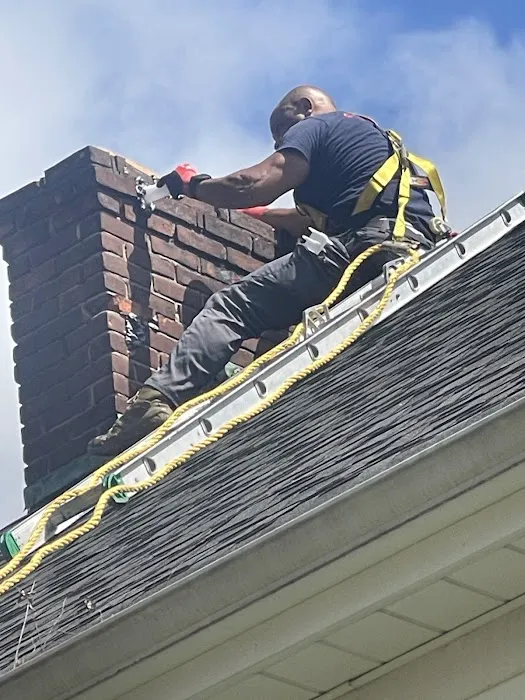 All Star Pest Solutions Picture 10