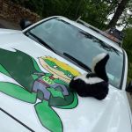 Nature's Way Pest Control - Albany NY