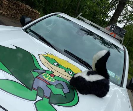 Nature's Way Pest Control - Albany NY