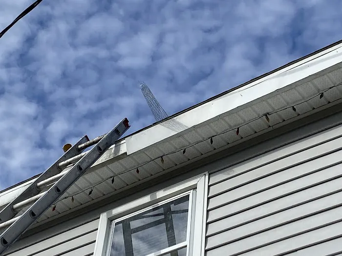 Nature's Way Pest Control - Albany NY Picture 8
