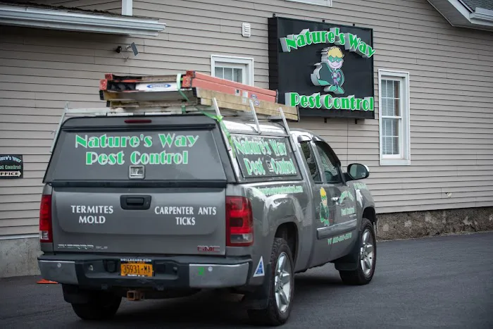 Nature's Way Pest Control - Albany NY Picture 6