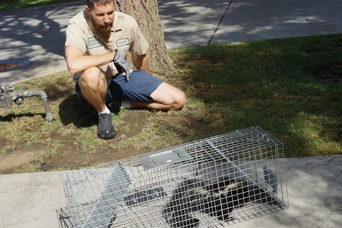 Wildlife Trapper Pro Picture 9