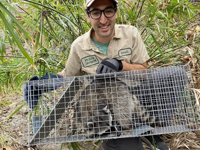 Wildlife Trapper Pro Picture 5