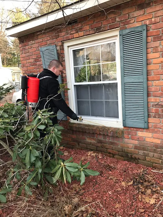 Advantage Pest Control Picture 6