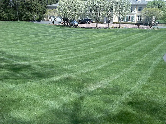 Cedar Tree Turf & Pest Solutions Picture 8