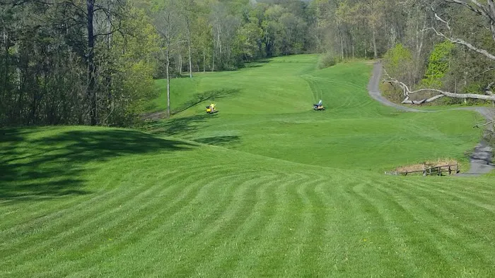 Cedar Tree Turf & Pest Solutions Picture 1