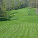Cedar Tree Turf & Pest Solutions