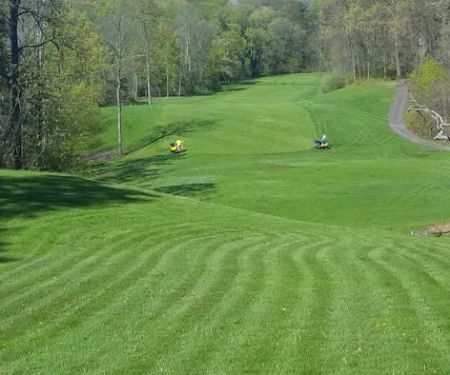 Cedar Tree Turf & Pest Solutions