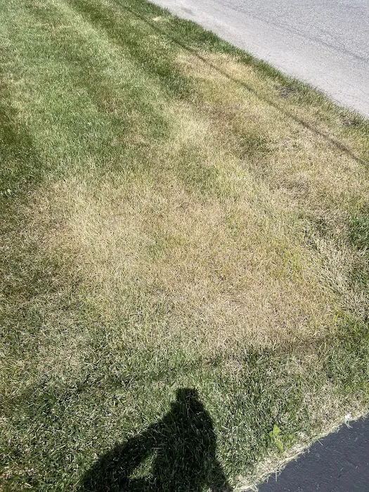 Cedar Tree Turf & Pest Solutions Picture 2