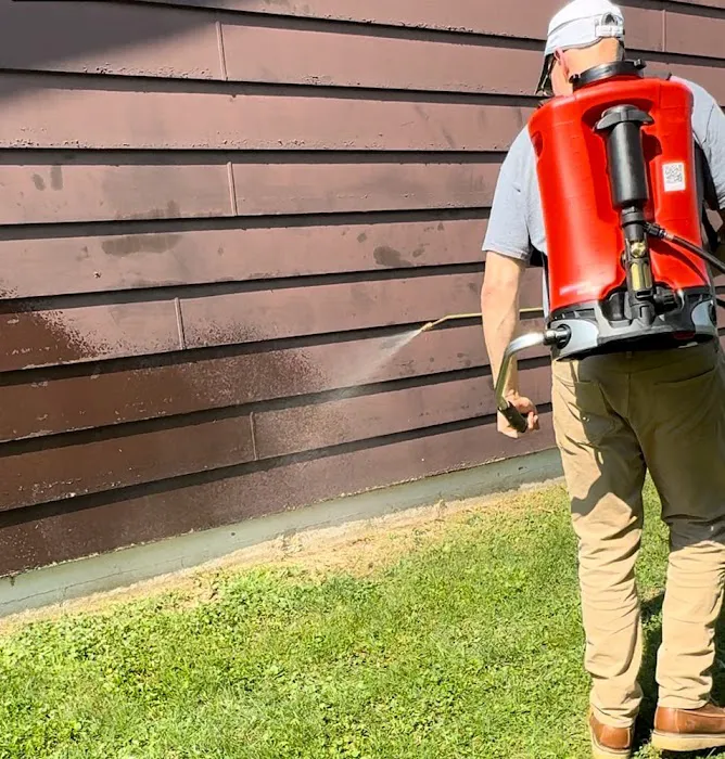 Mean Green Pest Services Picture 3