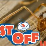 PEST OFF