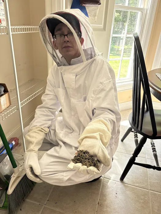 Fox Pest Control Chicopee Picture 8