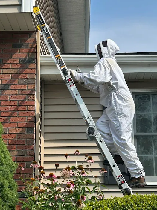 Thomas Pest Services Picture 4